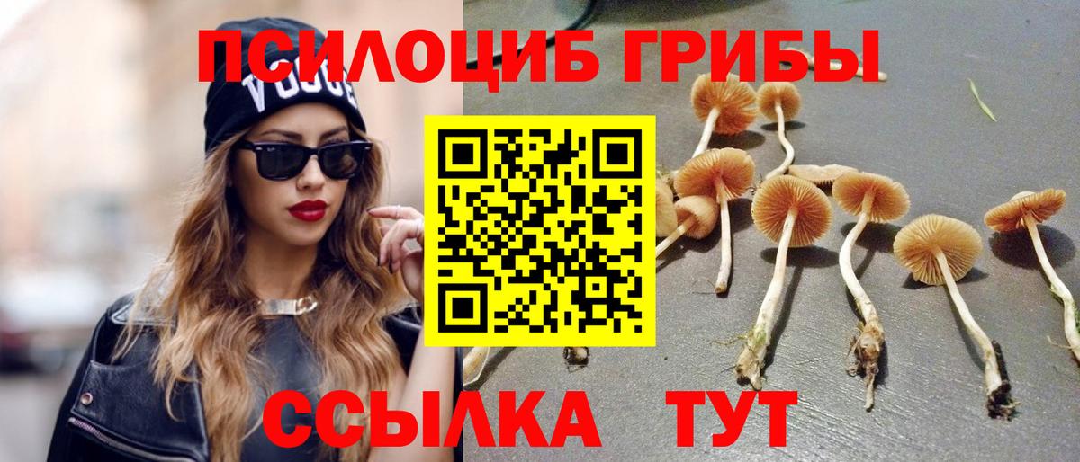 Псилоцибиновые грибы мицелий Павловский Посад
