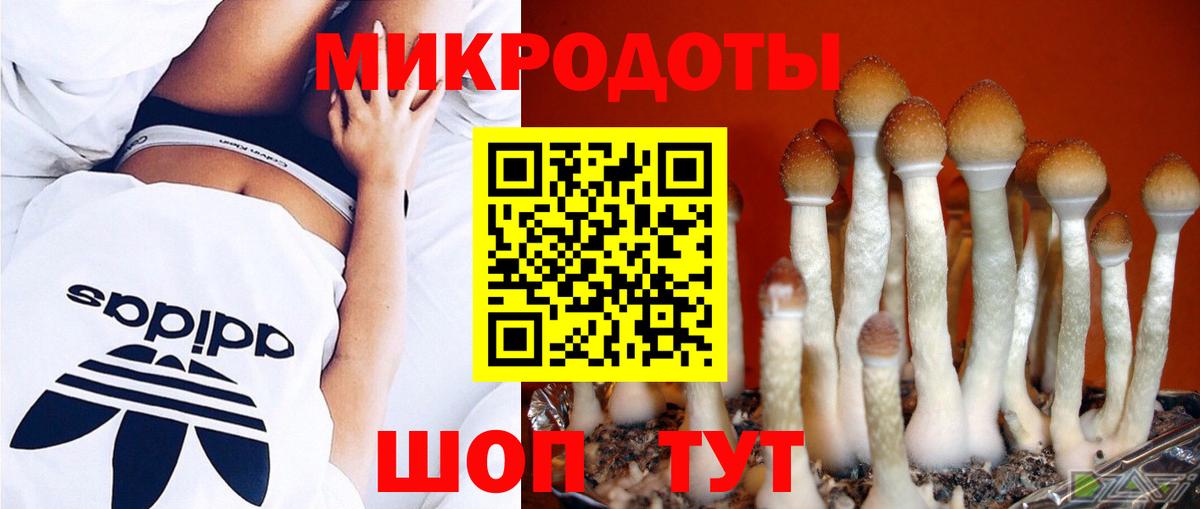 Павловский Посад  Псилоцибиновые грибы прущие грибы  Вход с VPN 